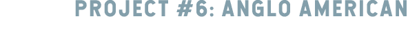 PROJECT #6: ANGLO AMERICAN