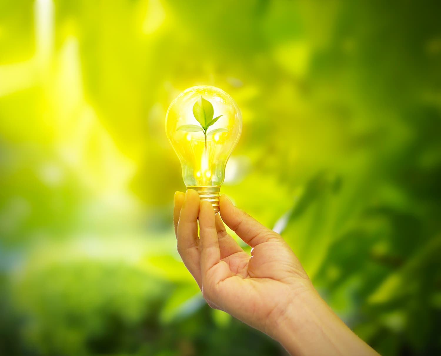 Power through light