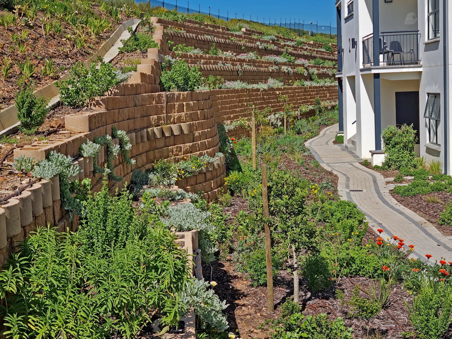 Mixed pattern Terraforce® wall design for easy planting of a steeply inclined wall