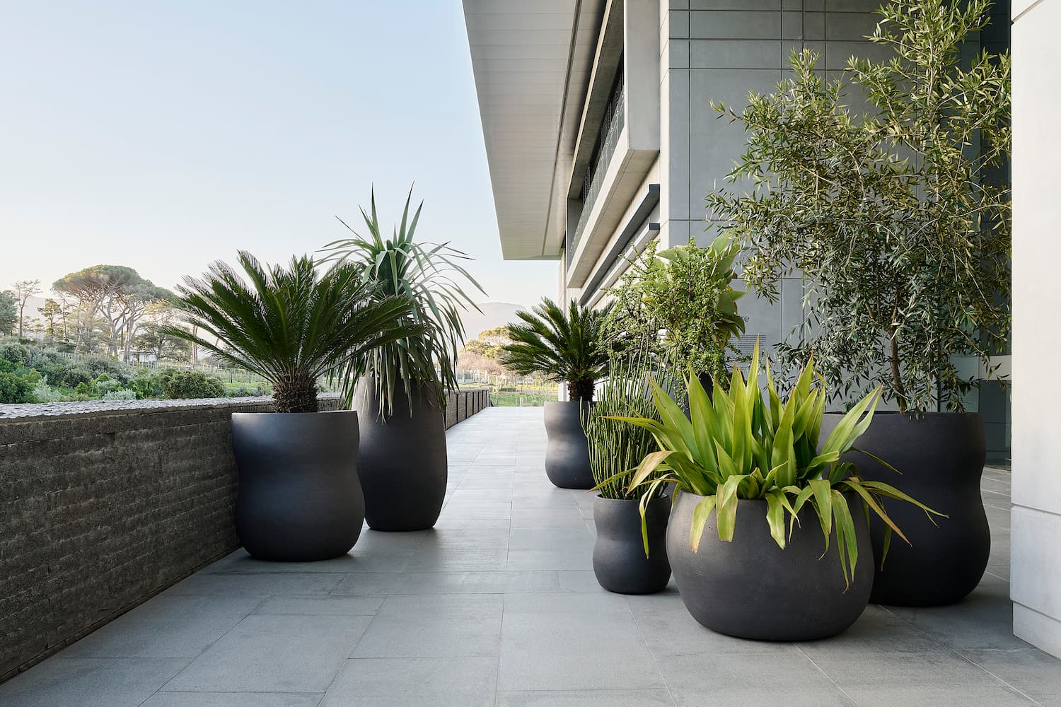 Sculptural planters for all environments