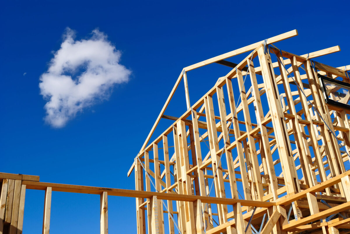 Protecting wood for the future: A guide to pressure treatment preservatives